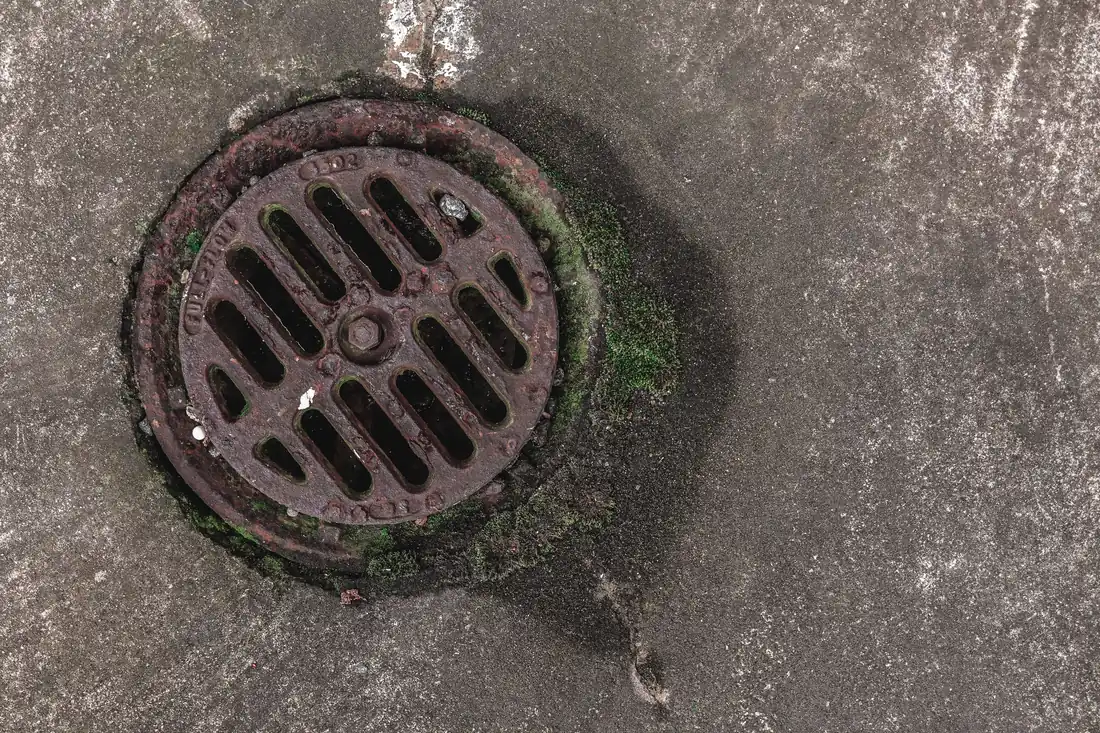 A round yard drain grate set into a moss-edged concrete slab