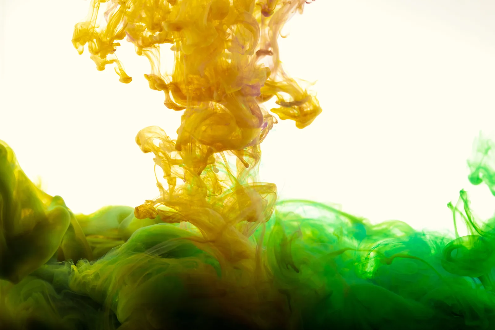 A plume of tracer dye spreading through clear water